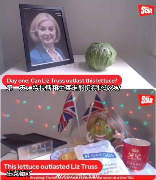 英國媒體《每日星報》曾開直播，將英國首相特拉斯任期和生菜保質期對比、探究誰更長久一事。 圖 : 翻攝自每日星報直播