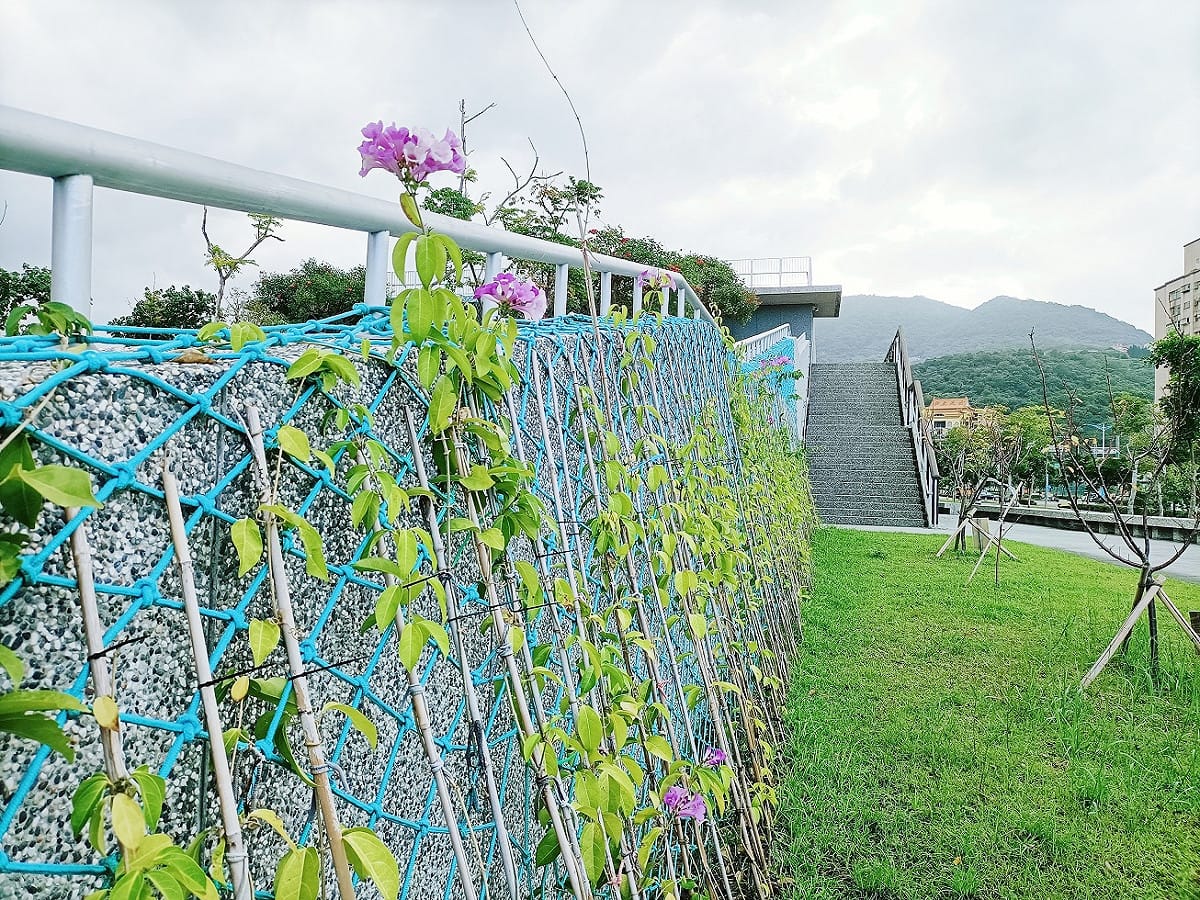 行政中心增加建物牆面立體綠化，推行建築降溫節能，提供自由休憩的永續空間。 圖：八里區公所提供