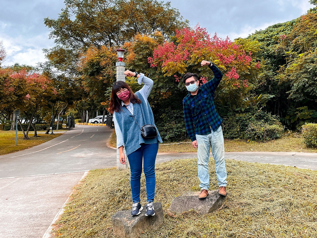 秋季限定的特色河濱美景一睹台灣欒樹變妝的樣貌。 圖：新北市高灘處提供