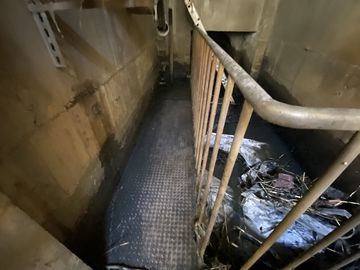 清淤作業區-鴨母港溝補注水進流井。 圖：新北市水利局提供