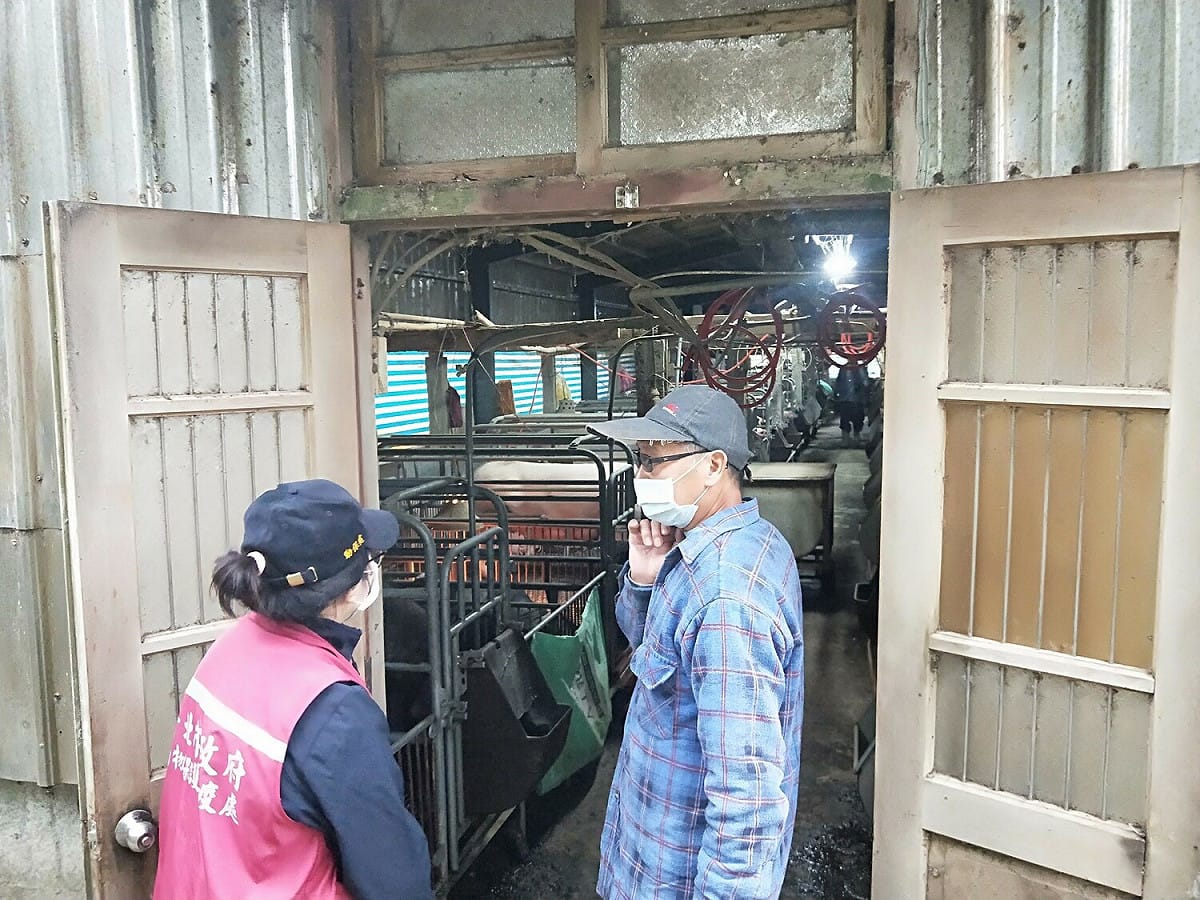 新北市動保處定期派員至豬場訪視。 圖：新北市動保處提供