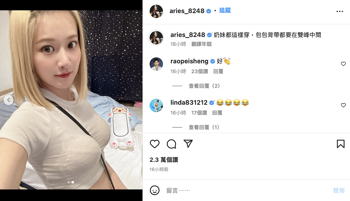 她表示將側背包肩帶放到雙峰中間，相當顯胸。 圖：翻攝自艾瑞絲IG