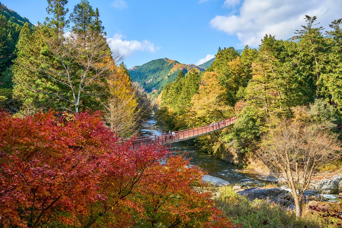 東京多摩地區秋川溪谷。 圖：東京觀光財團／提供
