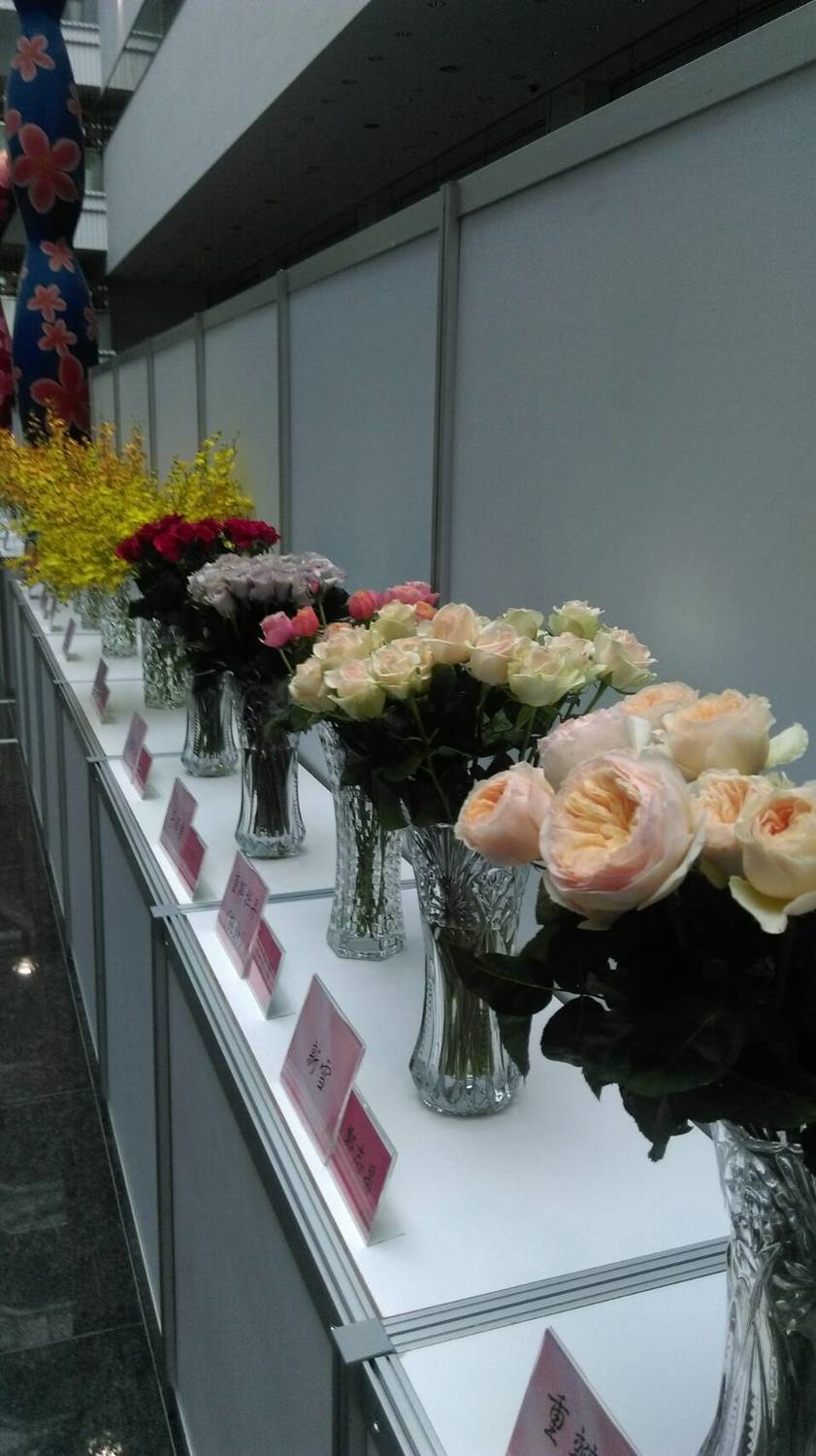 2017花卉品種評比及展示，花卉展示期間並舉辦現場投票評比活動，邀請民眾踴躍為自己心目中最美的花卉品種投下一票。 圖:台中市政府提供