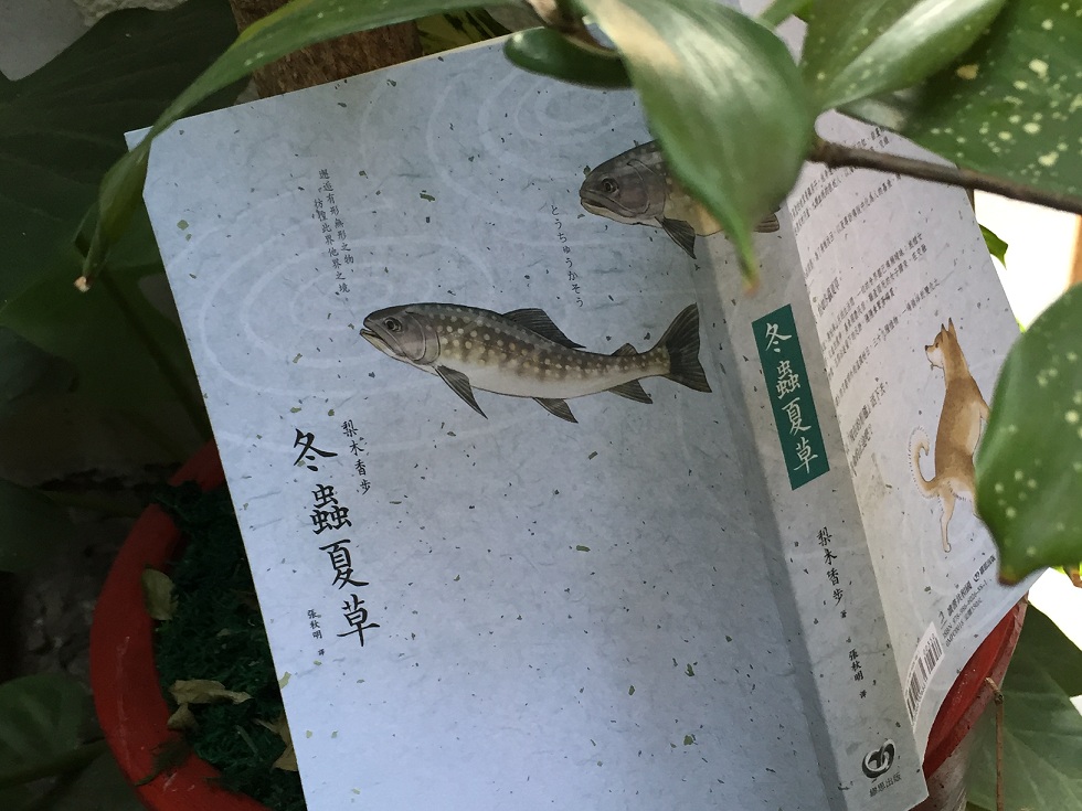 梨木香步的作品《冬蟲夏草》。 圖：三餘書店提供。