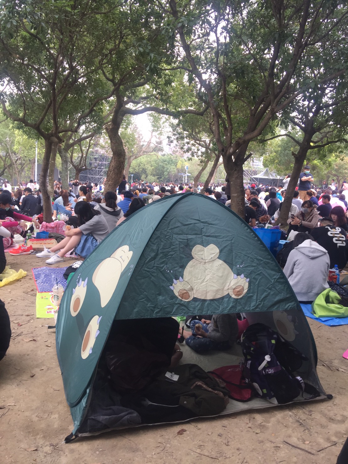 許多歌迷一早就準備了帳篷在大安森林公園內等候入場。 邱筠文／攝