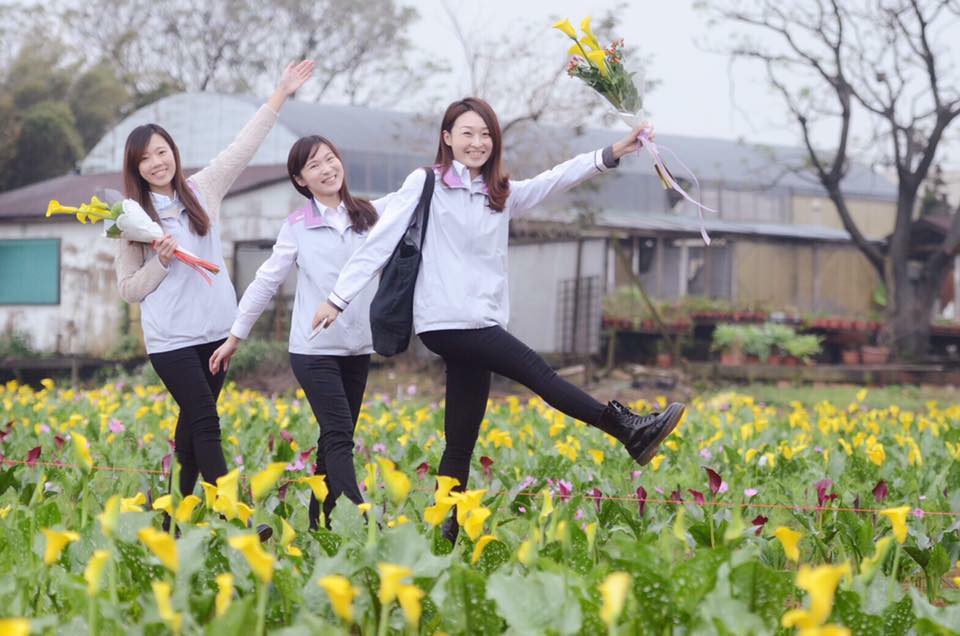 第一年舉辦的「2017桃園彩色海芋季」在連續假期中展開，參觀人數屢創新高，雖然人潮眾多，但愛花者實在是抵不住美麗的彩色花海誘惑，還是要往桃園大園跑。桃園大眾捷運股份有限公司董事長劉坤億建議大家可以多多利用機捷。 圖：翻攝自劉坤億臉書