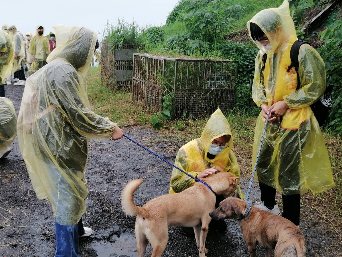 學生藉由牽繩體驗與淡水動物之家的毛孩互動。 圖：新北市動保處提供