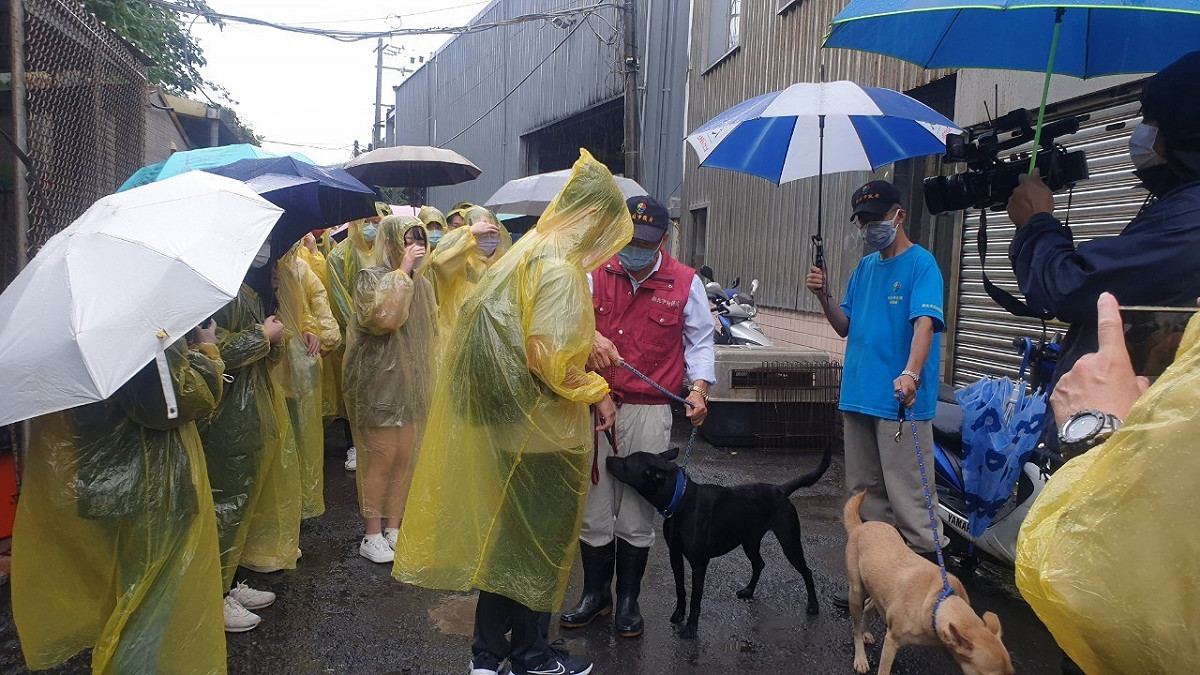 獸醫彭明發示範如何與毛孩互動。 圖：新北市動保處提供