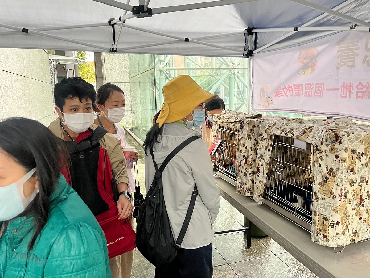 111年10月29日新北市動保處特別與國立台灣圖書館合作，於中和勵學廣場舉辦認養活動。 圖：新北市動保處提供