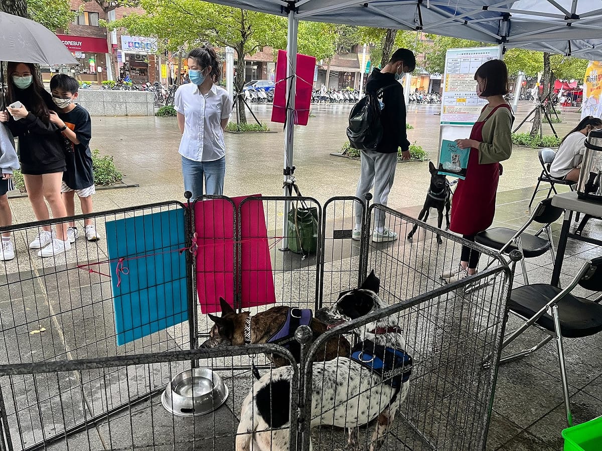 雖然今日下雨也不減民眾興致。 圖：新北市動保處提供