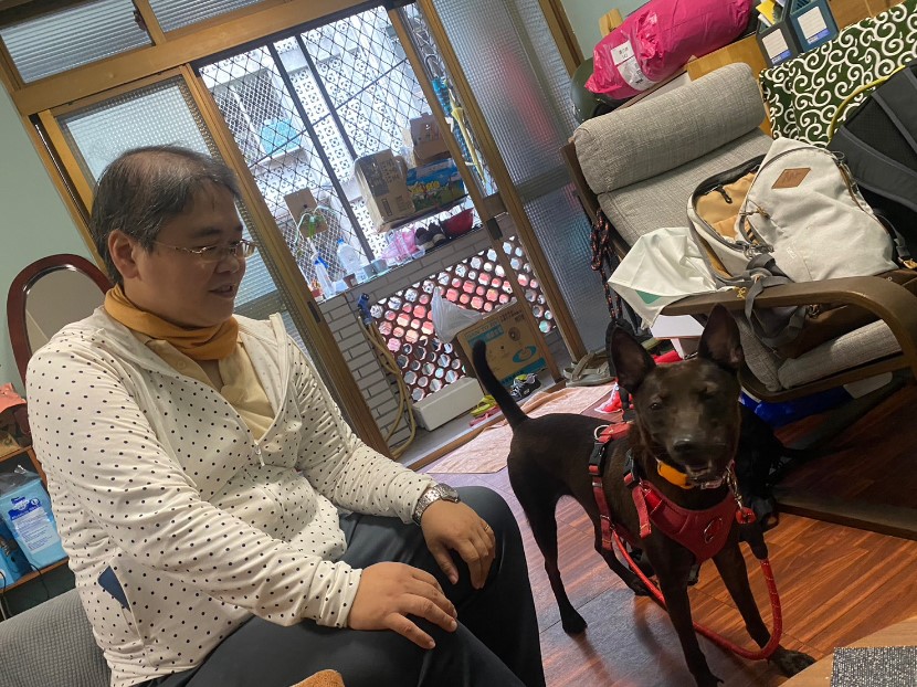 可羅在小胖家適應居家的生活。 圖：新北市動保處提供