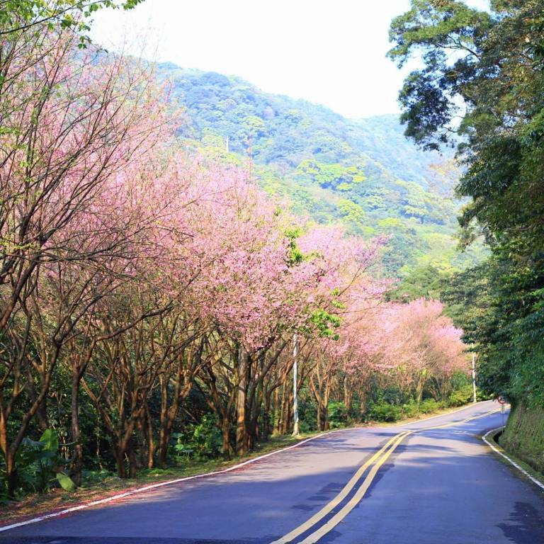 自108年度至今，由公路總局補助路段，工務局完成改善103公里道路、排水側溝9.5公里及防撞護欄11公里，藉由中央與地方攜手合作，將全市公路系統打造全新氣象，此為市道101線的平整道路。 圖：新北市工務局提供