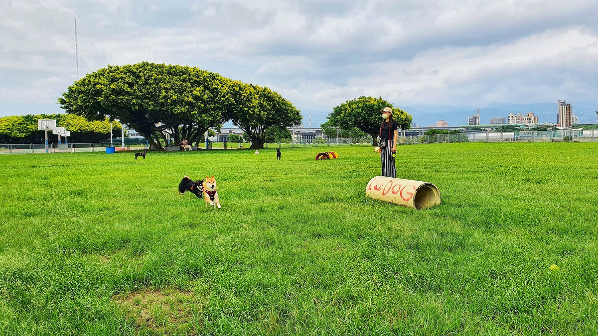 三重寵物公園-毛孩子放電嬉戲的好地方。 圖：新北市高灘處提供