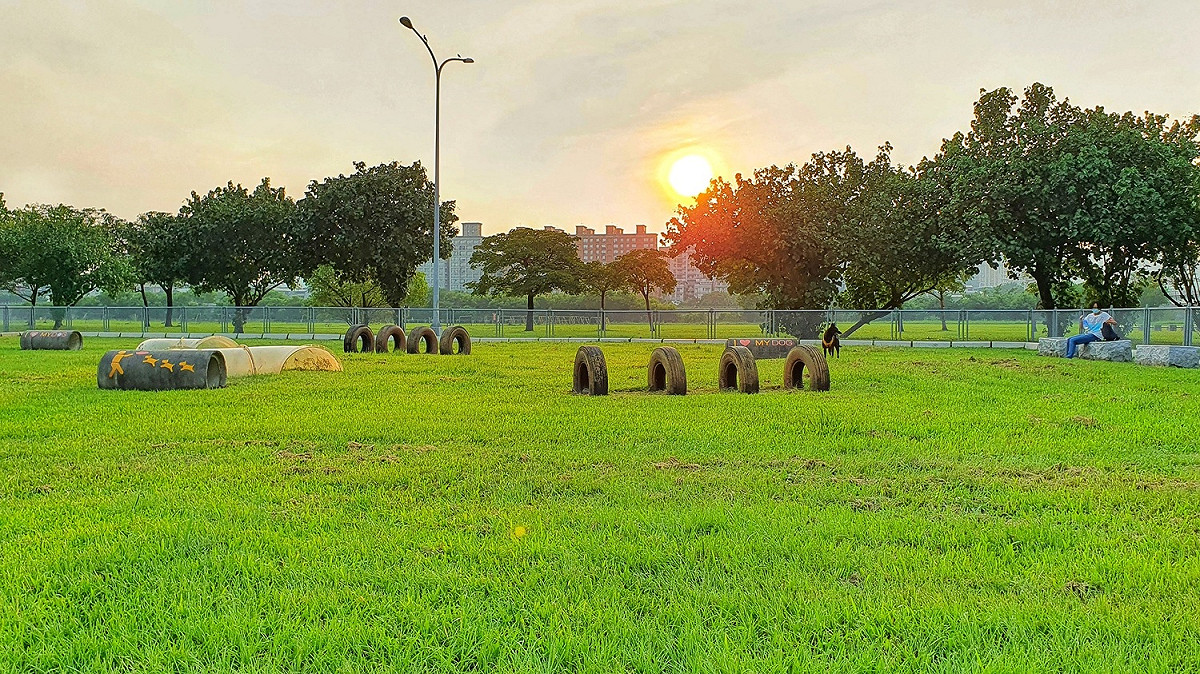 浮洲寵物公園-寬闊的草坪以及河濱美景。 圖：新北市高灘處提供