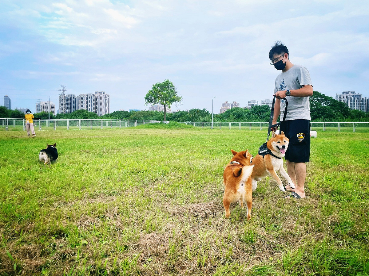 新莊寵物公園-帶毛孩子來河濱寵物公園放風是周邊都會區民眾的首選。 圖：新北市高灘處提供