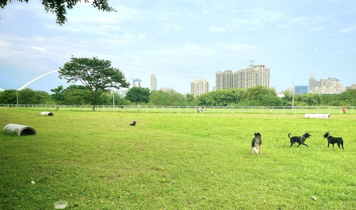 新莊寵物公園-設施草坪持續的維護讓毛孩子能安全的跑跳玩。 圖：新北市高灘處提供