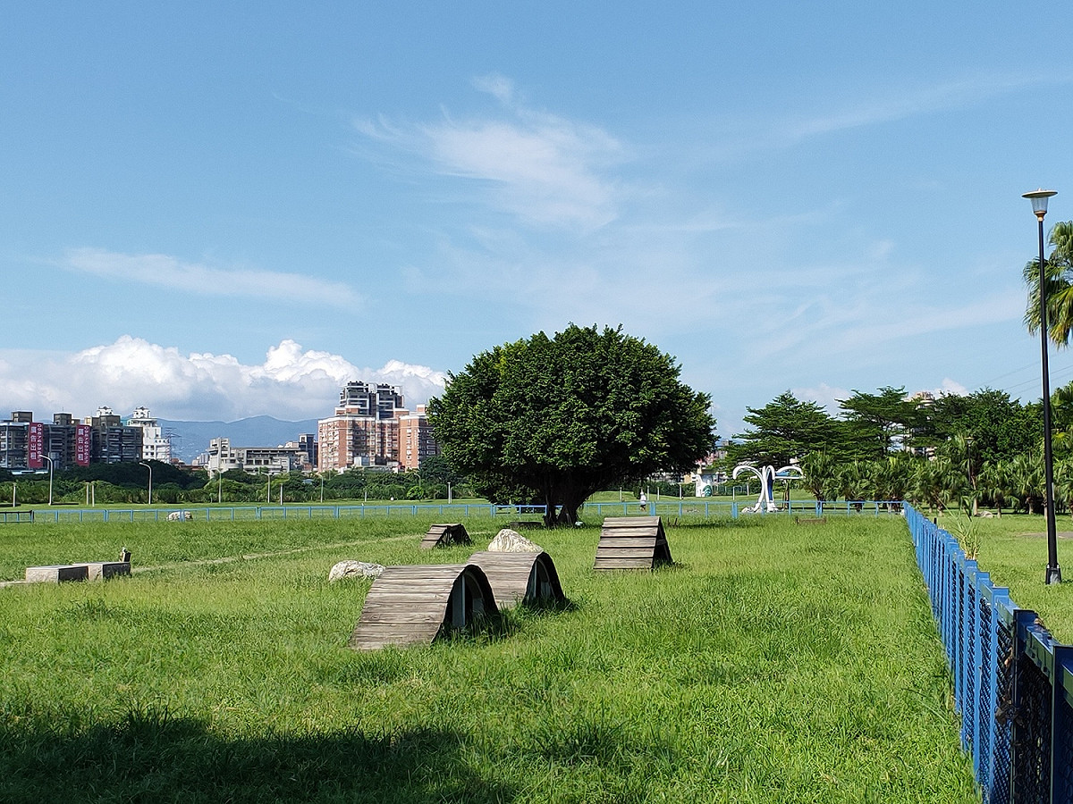 綠寶石寵物公園-場內的棧橋等都是熱門好玩的設施。 圖：新北市高灘處提供