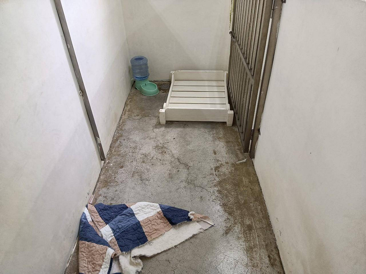 寵物長照機構舒適、獨立的寄宿環境。 圖：新北市動保處提供