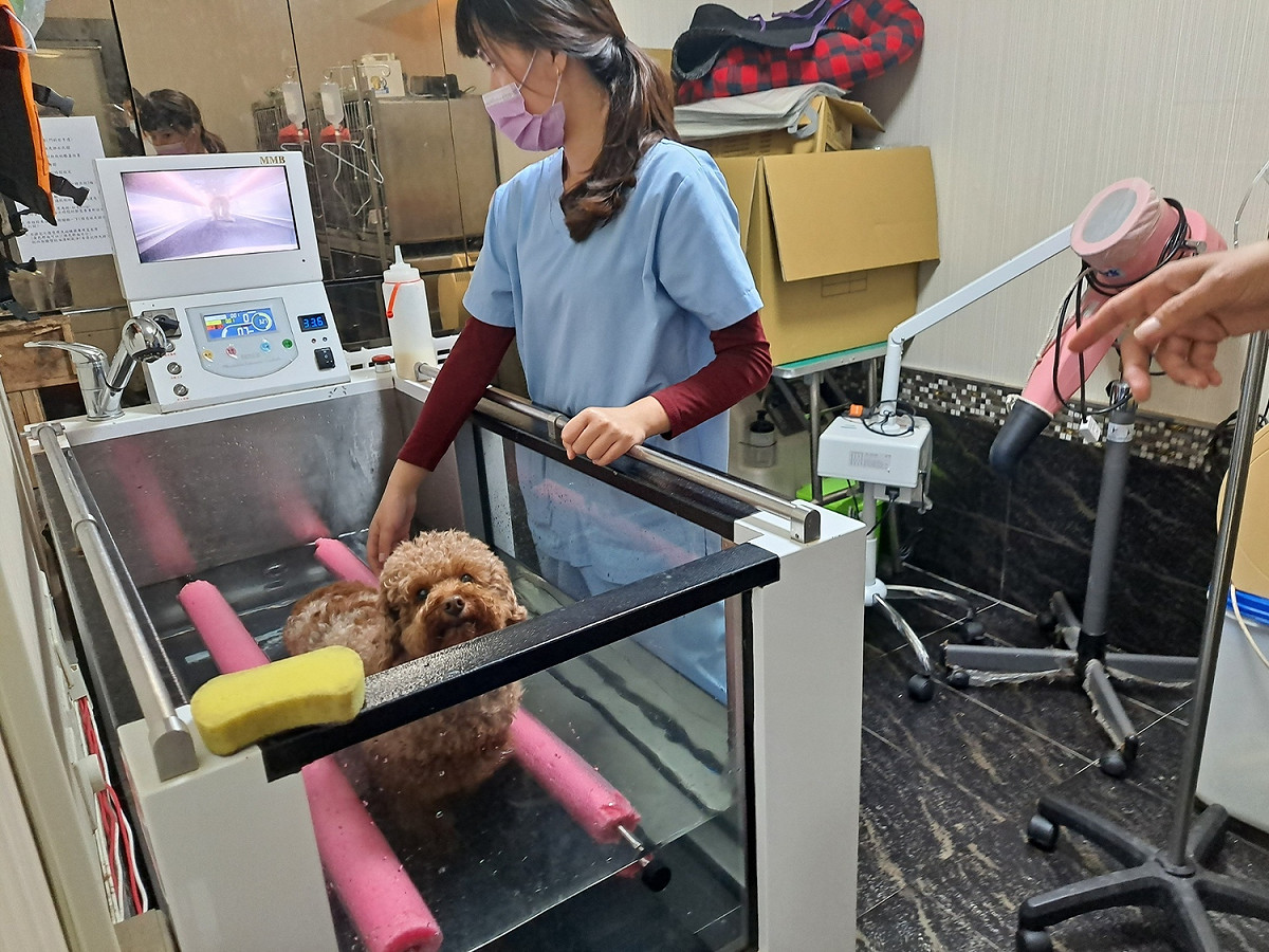 寵物長照機構添購水療機。 圖：新北市動保處提供