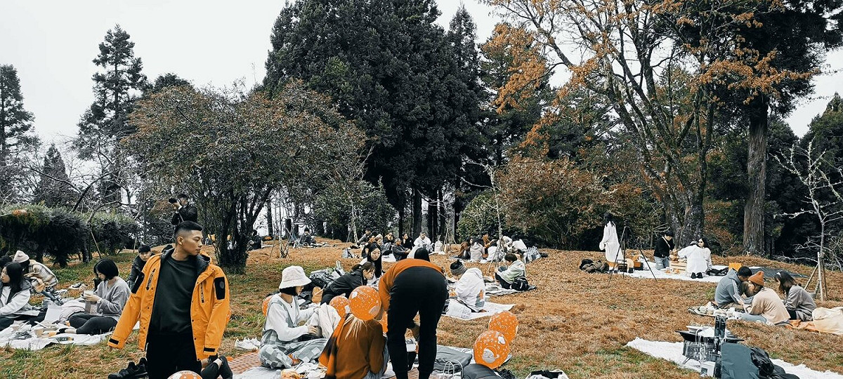 阿里山國家森林遊樂區冬季山林野餐市集將於12月3、4日舉辦。 圖：取自阿里山國家森林遊樂區臉書