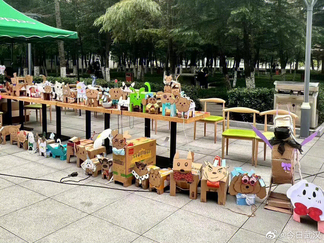 中國大學生近期流行養紙箱狗紓壓，學生會到操場溜紙狗並PO網分享紙狗生活照。 圖: 翻攝自今日武漢微博
