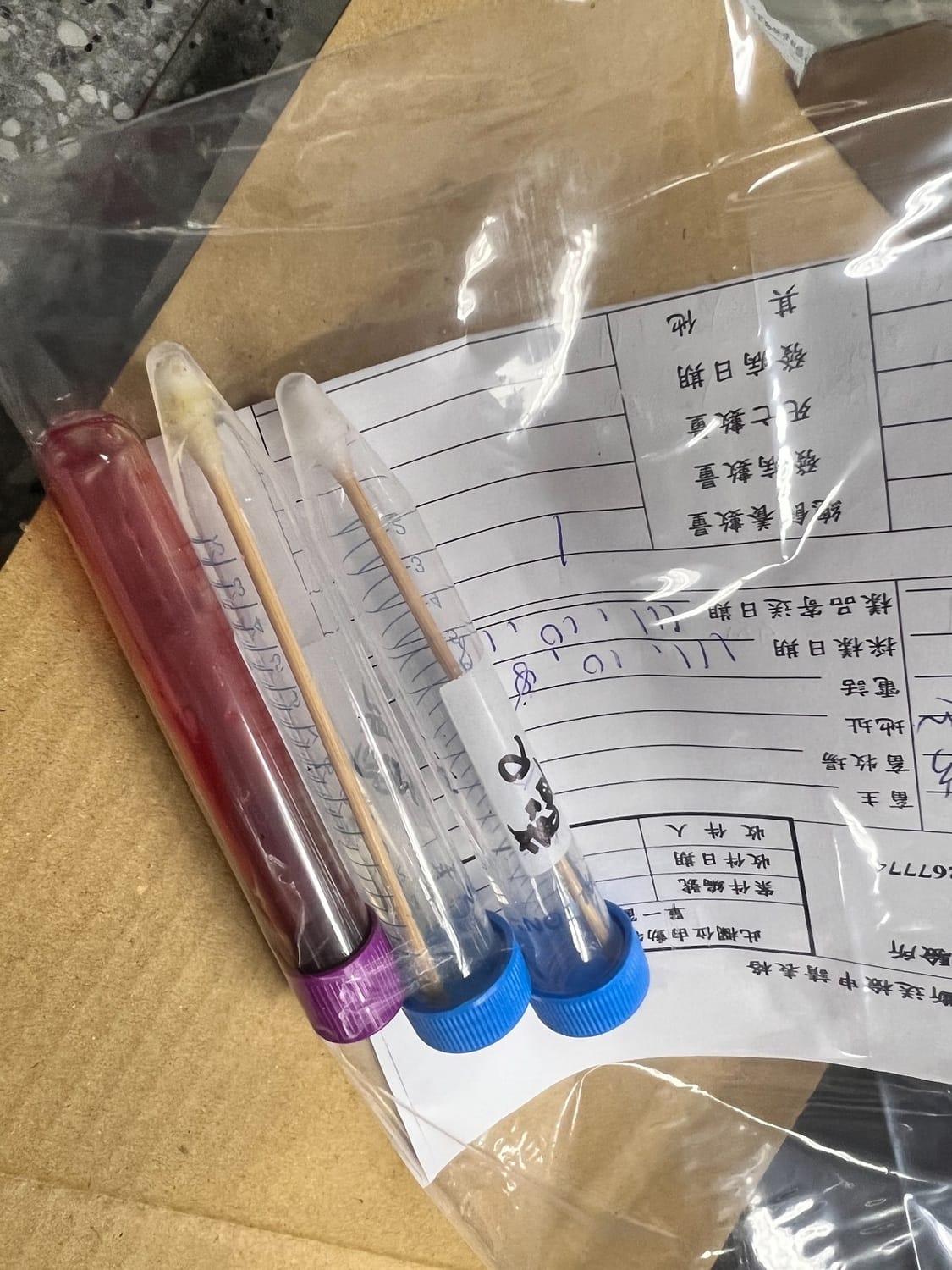 藍腹鷴採樣檢體。 圖：新北市動保處提供