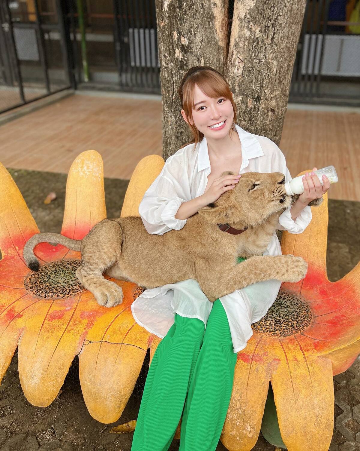 林莎餵小獅子喝奶。 圖：翻攝自IG/superlisa821