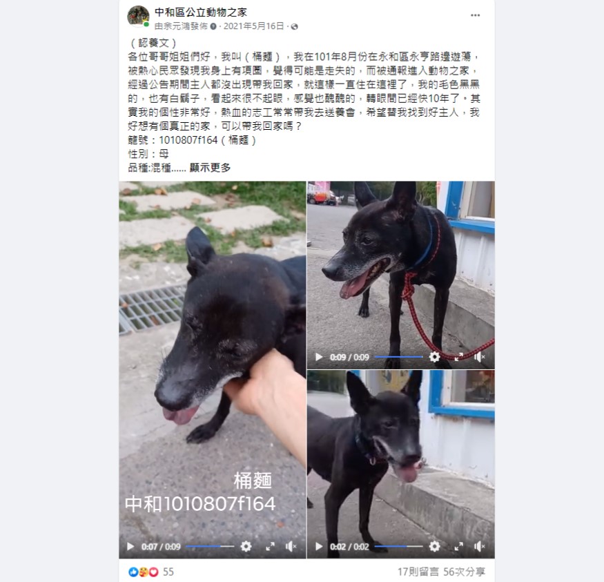 入所近10年的黑犬「桶麵」也在介紹影片發布後不到一週就找到溫暖的家。（截圖） 圖：新北市動保處提供