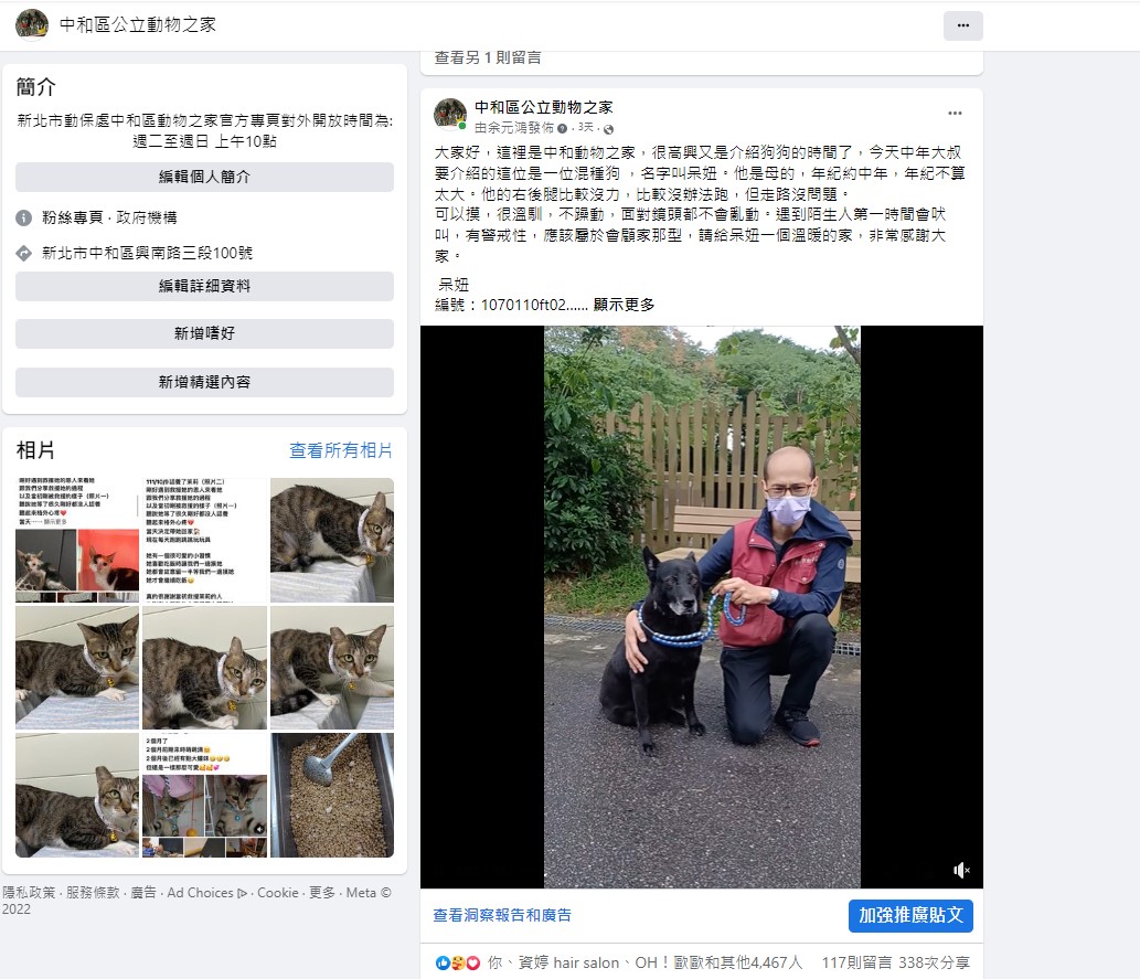 犬隻介紹影片推出3天後，觸及人數就達5萬人。（截圖） 圖：新北市動保處提供