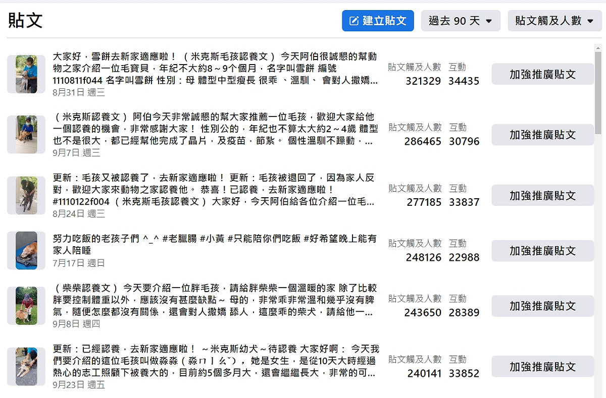 影片推出後觸及人數皆有上萬人，其中一集觸及人數高達32萬人，該集介紹的成犬「雪餅」也順利送養成功。 圖：新北市動保處提供