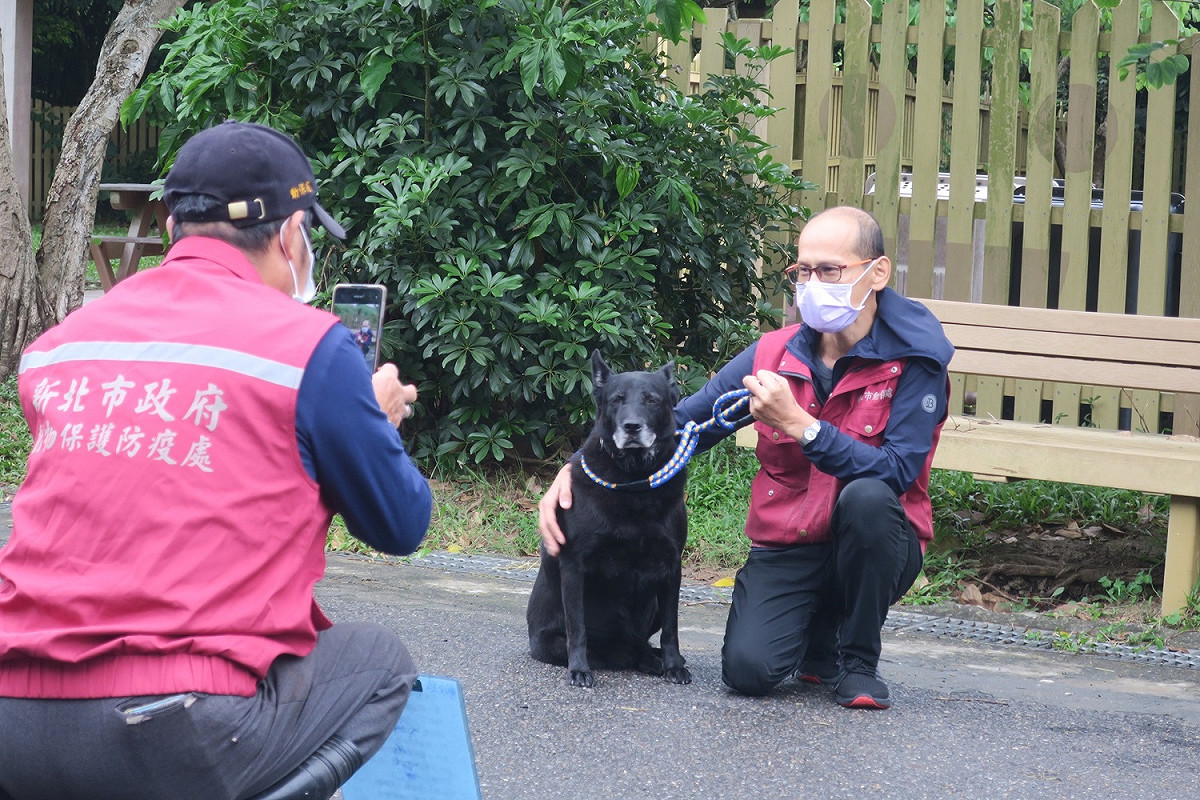 動保員余元鴻身為動物之家小編，除了直播外也時常拍攝犬隻影片介紹送養。 圖：新北市動保處提供