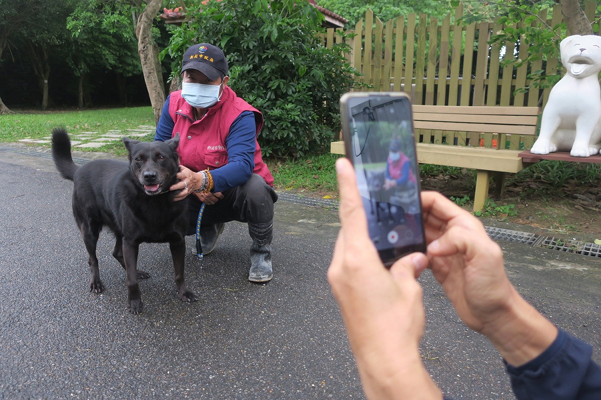 動保員黃榆翔每週拍影片介紹成犬，經過一年多持續不間斷地在網路曝光，目前已成最強推銷「阿伯」。 圖：新北市動保處提供