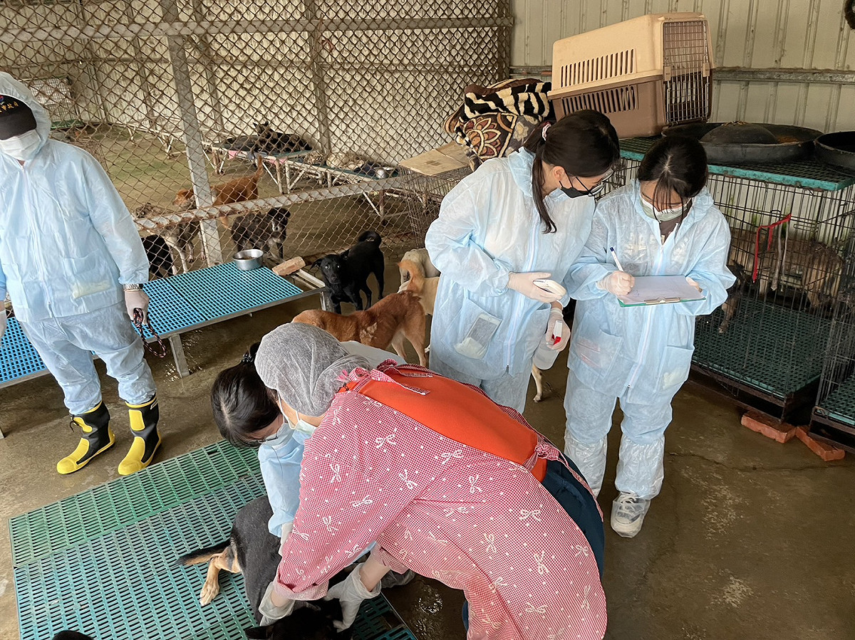 協助記錄犬隻資料。 圖：新北市動保處提供