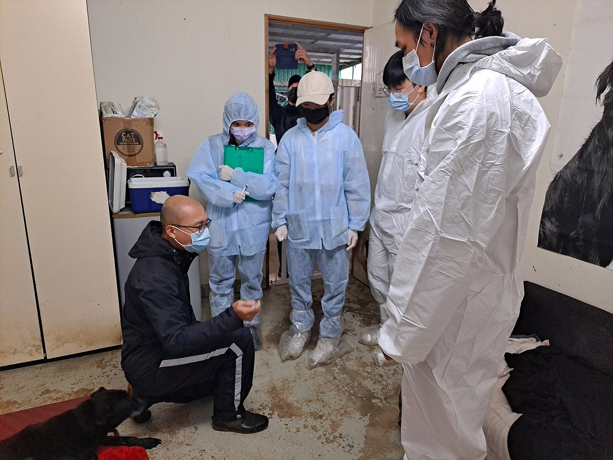 私人收容所人員說明犬隻狀況。 圖：新北市動保處提供