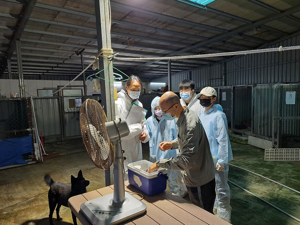 台大獸醫系學生專心聽人員說明。 圖：新北市動保處提供