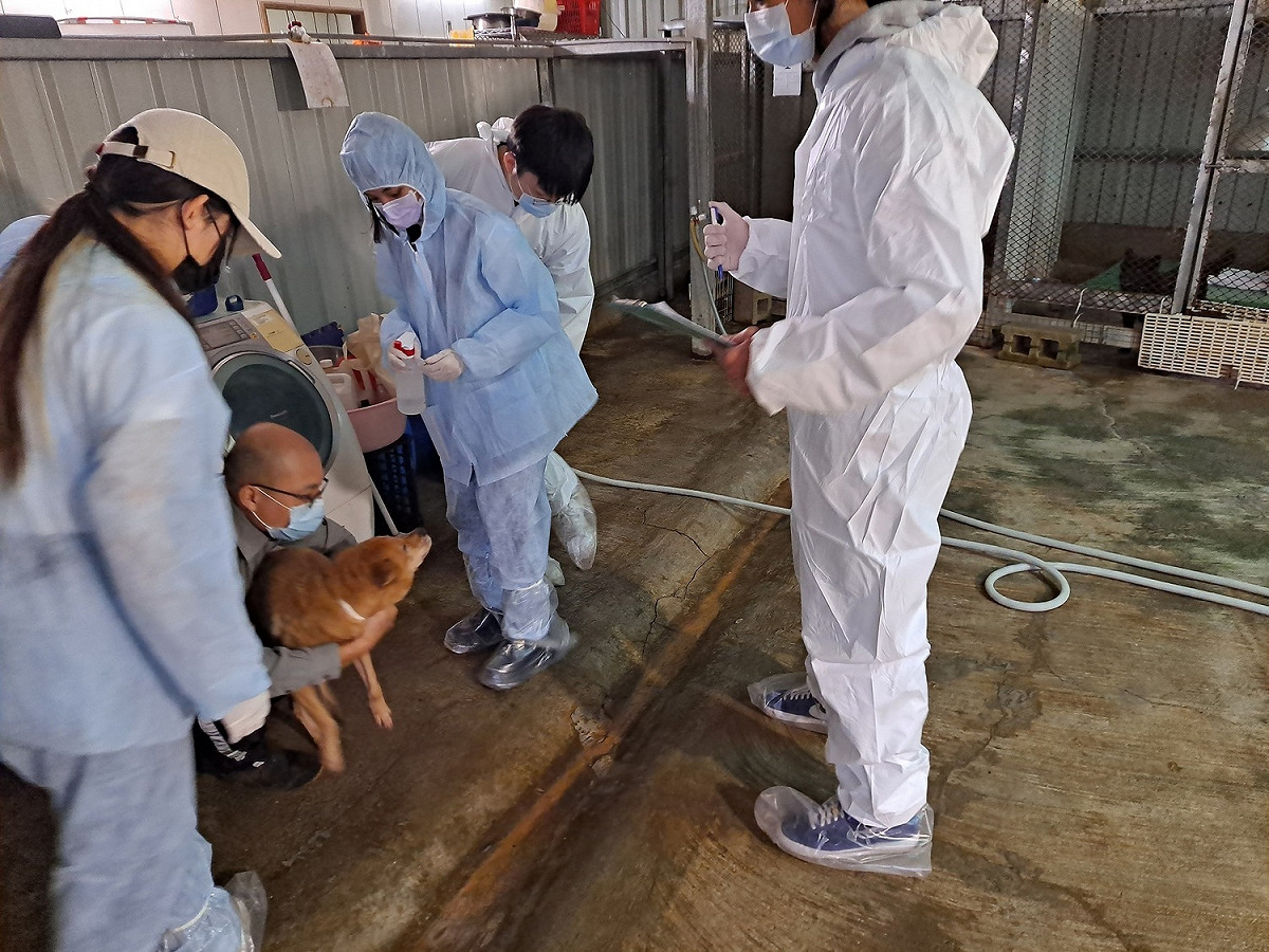 學生觀摩打疫苗。 圖：新北市動保處提供