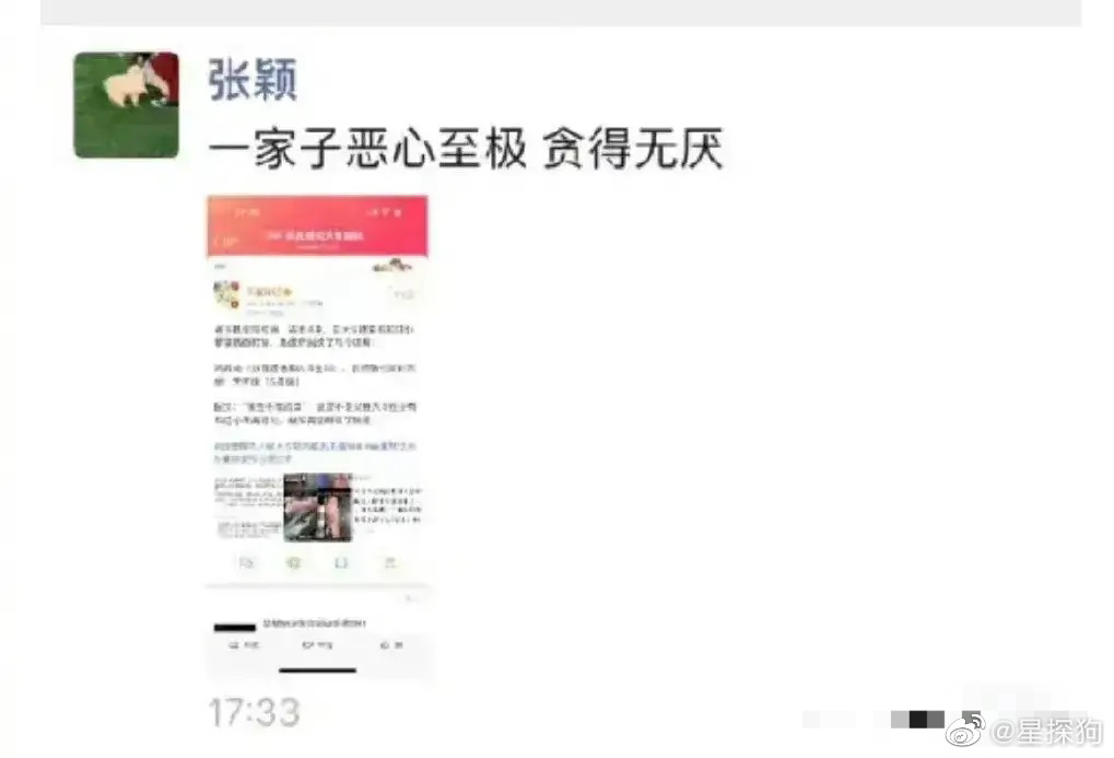 張穎穎開罵大S一家人「噁心至極，貪得無厭」。 圖：翻攝自微博