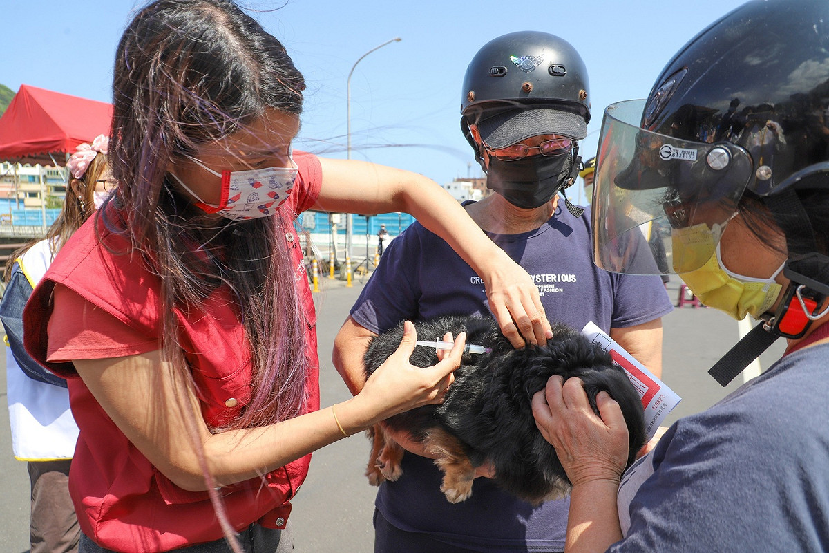 飼主帶犬隻來打疫苗。 圖：新北市動保處提供