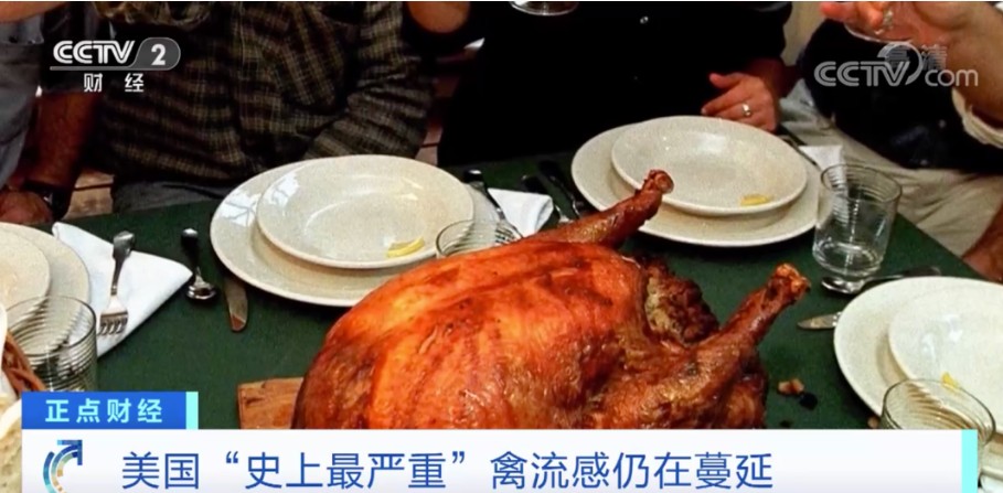 美國爆發史上最嚴重禽流感 圖:翻攝自CCTV