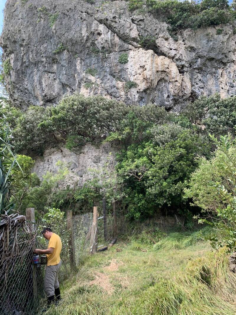 對此，墾丁國家公遠管理處回應，套索陷阱與一般的山豬吊不相同，是「試驗捕捉」，而且每日均有安排人員巡視。 圖：墾丁國家公園管理處／提供