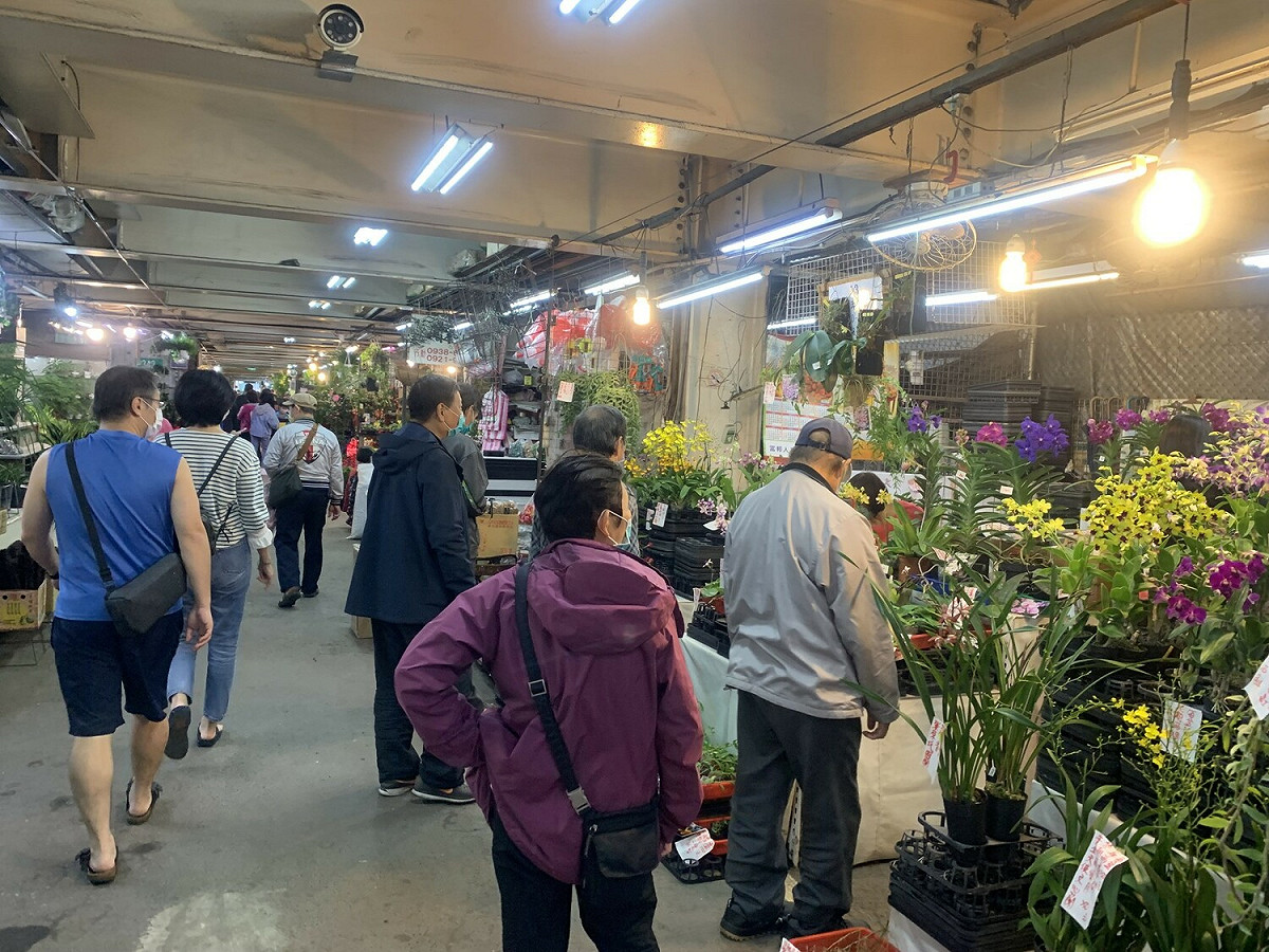 民眾駐足板橋花市賞花。 圖：板橋區公所/提供