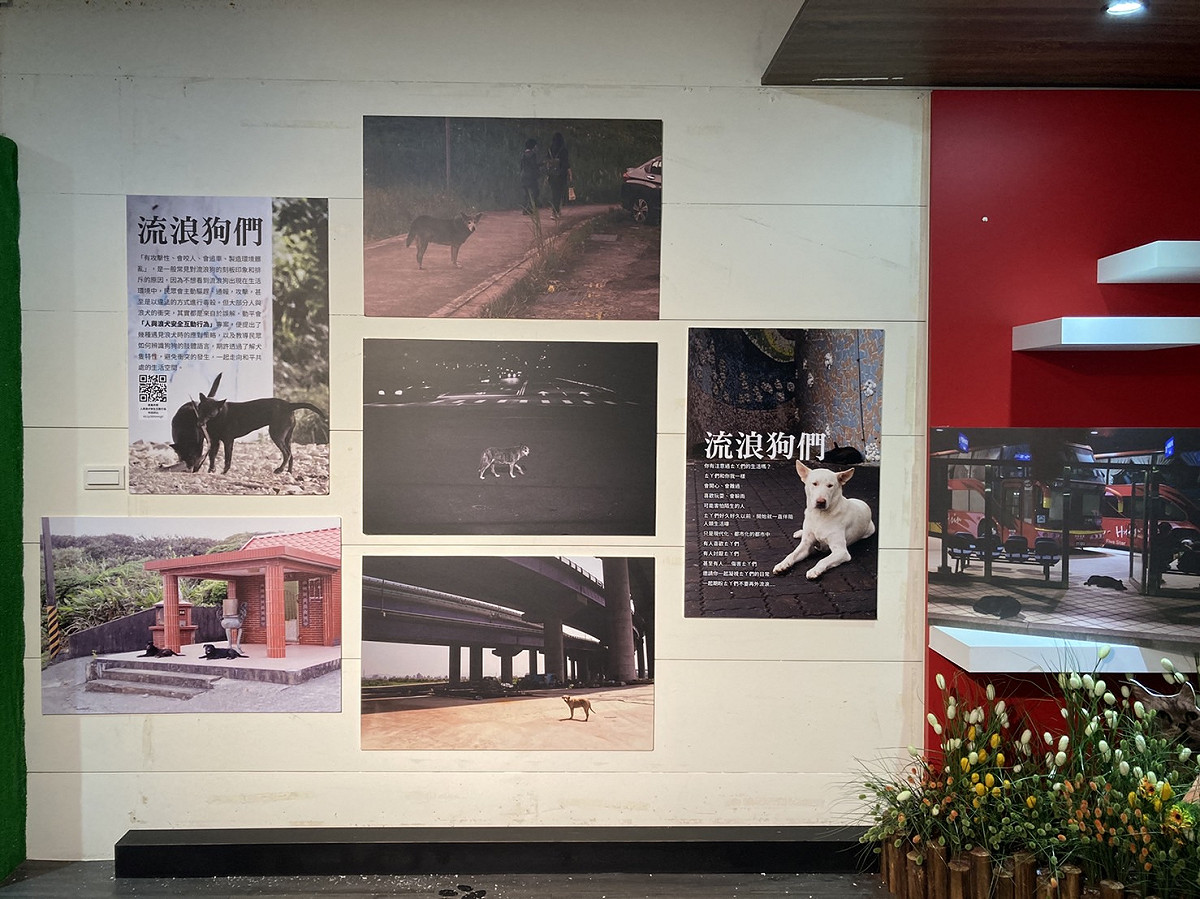 12月2日起在毛寶貝生命教育園區展覽體驗館隆重開展，展期至112年1月15日。 圖：新北市動保處提供