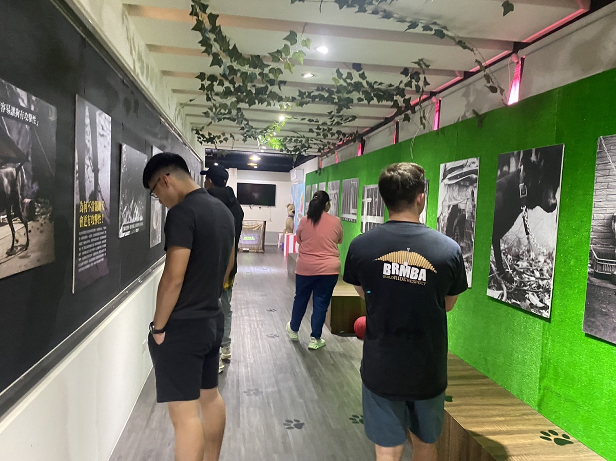 此次展覽也結合流浪犬隻高比例黑狗特性，特別於展場另規劃黑狗展示區。 圖：新北市動保處提供