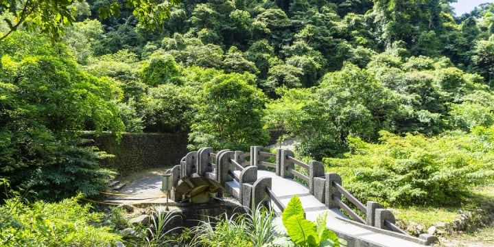 暖東峽谷步道過去是淡蘭古道中路的民商往來必經之路，現今則為熱門國家級生態綠道。 圖：翻攝自基隆旅遊網