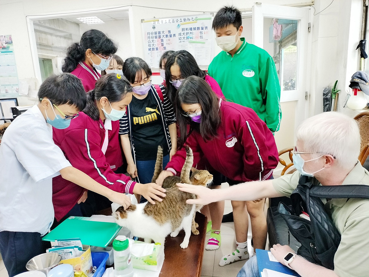 老師帶領同學們與貓咪互動玩樂非常熱鬧。 圖：新北市動保處提供