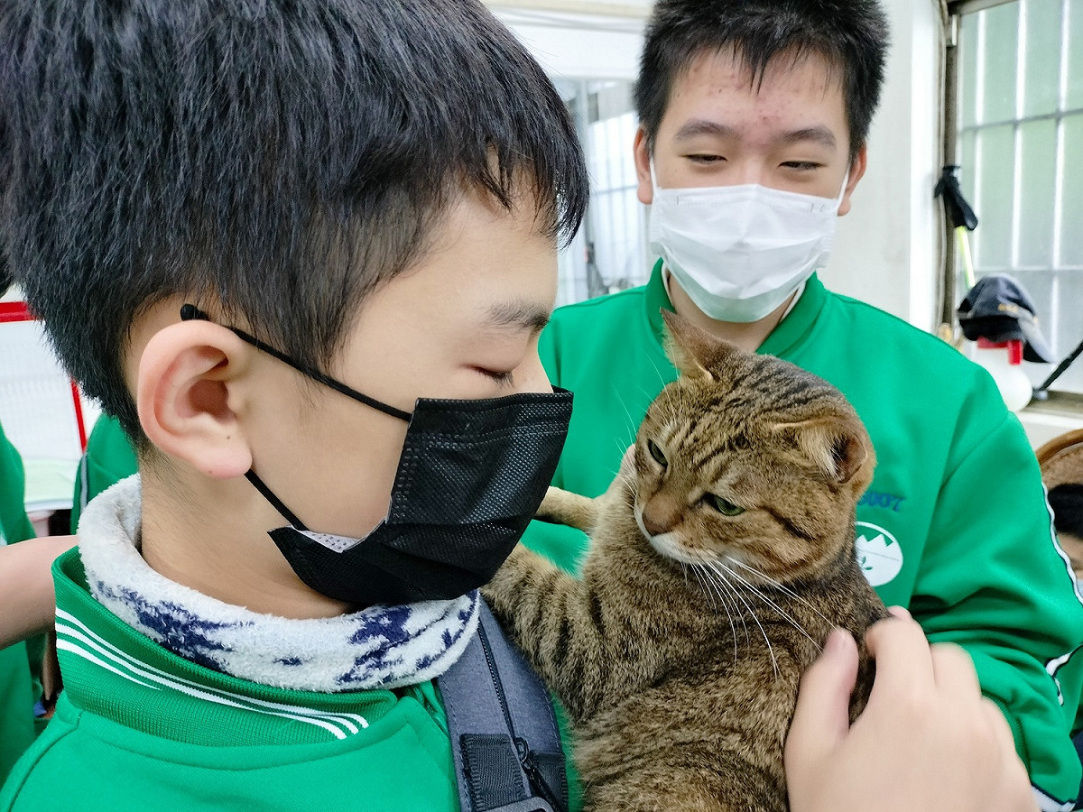 人生第一次抱起貓咪初體驗。 圖：新北市動保處提供