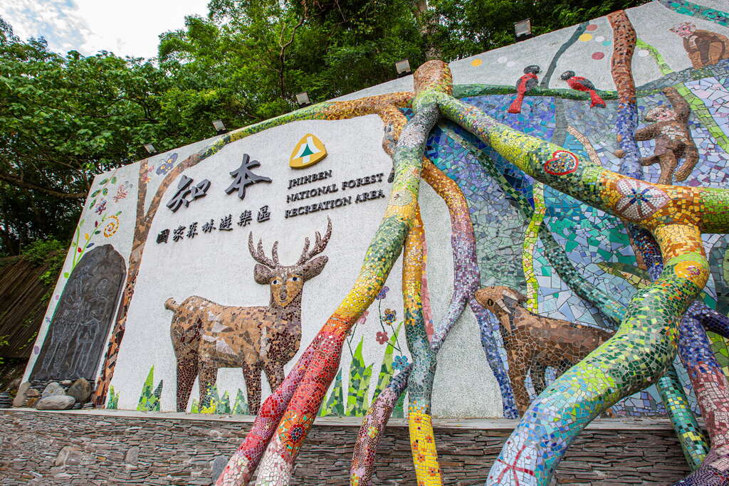 知本國家森林遊樂區擁有豐富的森林生態。 圖：取自台東觀光旅遊網