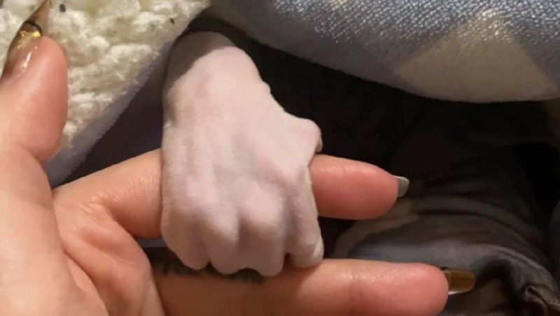 這不是小孩的手！棉被裡伸出一隻蒼白詭異的小手，引起網路熱議。 圖／取自Lạc Thú臉書