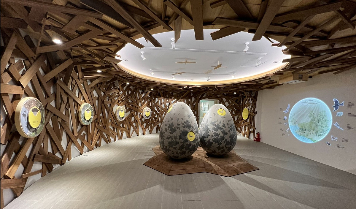 東石自然生態展示館內的「看見自然的律動」常設展場。 圖：嘉義林管處／提供